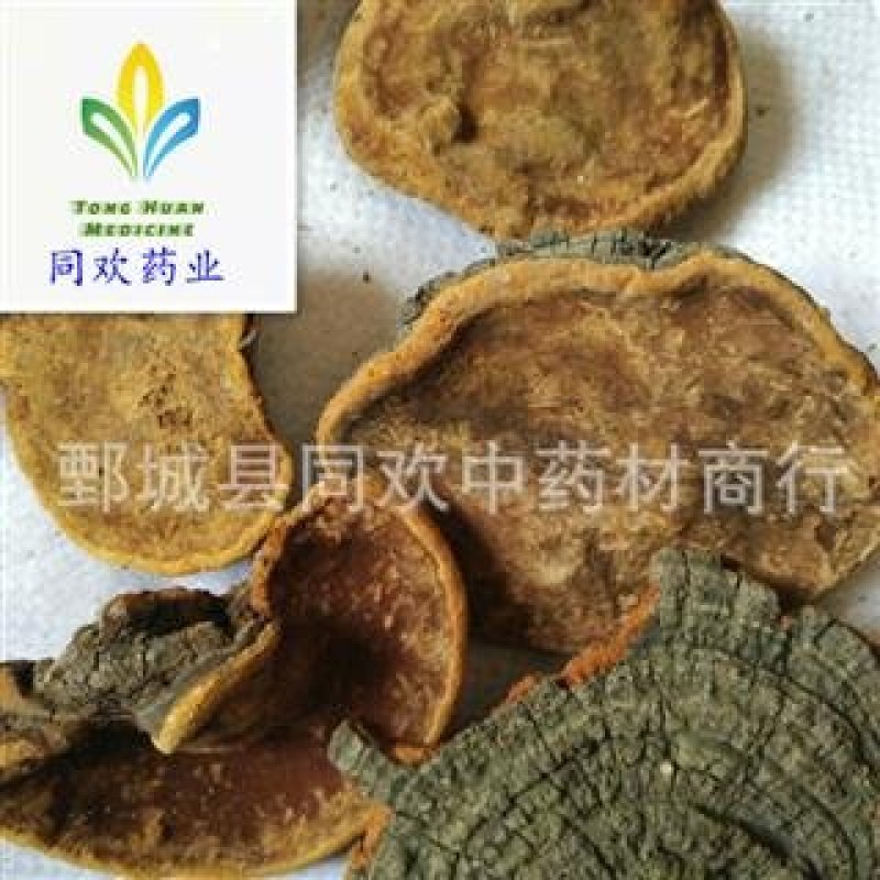【槐耳】@【同欢药材】中药材批发供应规格齐全