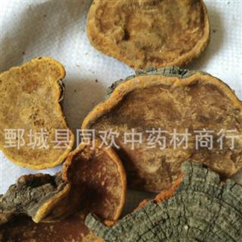【槐耳】@【同欢药材】中药材批发供应规格齐全