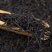 批发云南老树滇红中国红直条金针理条滇红茶散装直