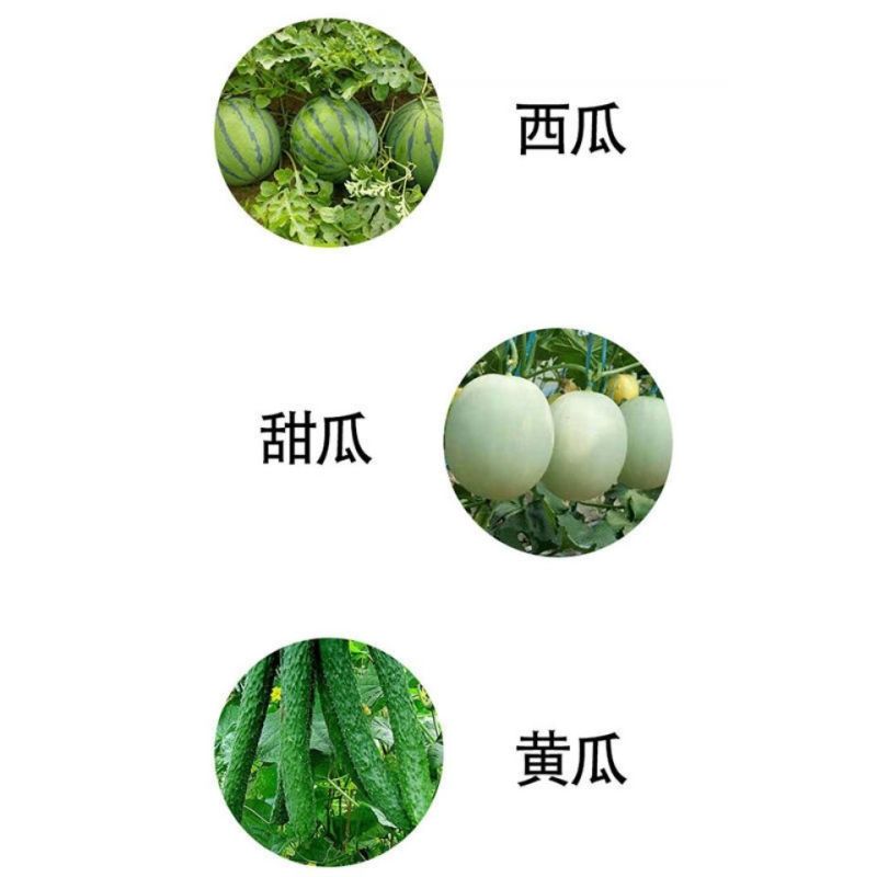 施特优果旺氯吡脲黄瓜西瓜甜瓜蘸瓜药点花药生长调节剂