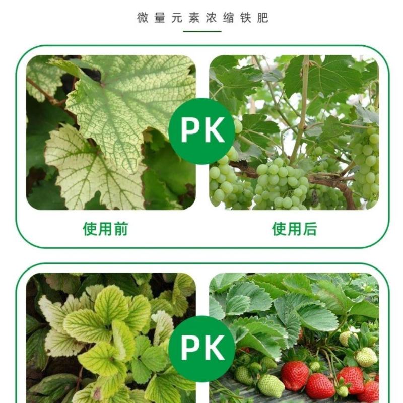瀚生铁高纯度熬合预防缺铁性黄化，失绿等促进叶绿素合成