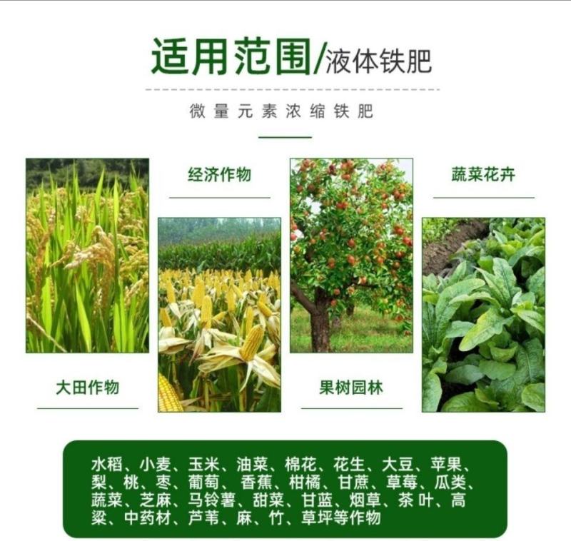 瀚生铁高纯度熬合预防缺铁性黄化，失绿等促进叶绿素合成
