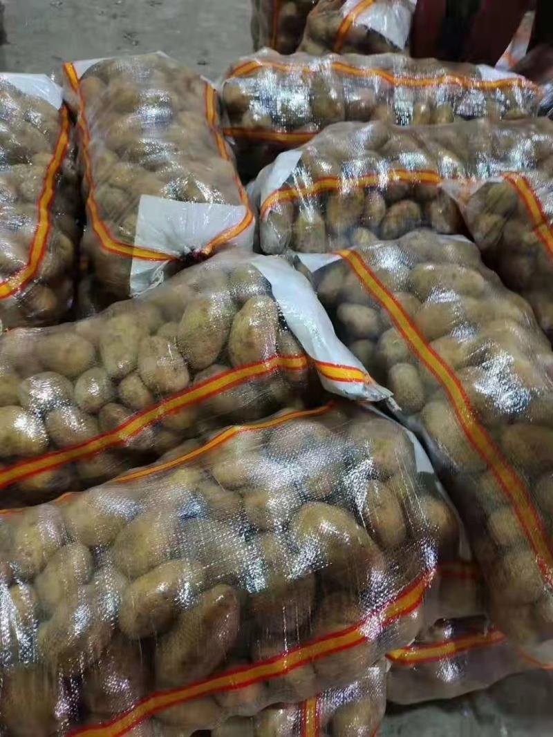 精品黄心土豆，4两起步.大量出售出货量大