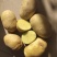 精品黄心土豆，4两起步.大量出售出货量大