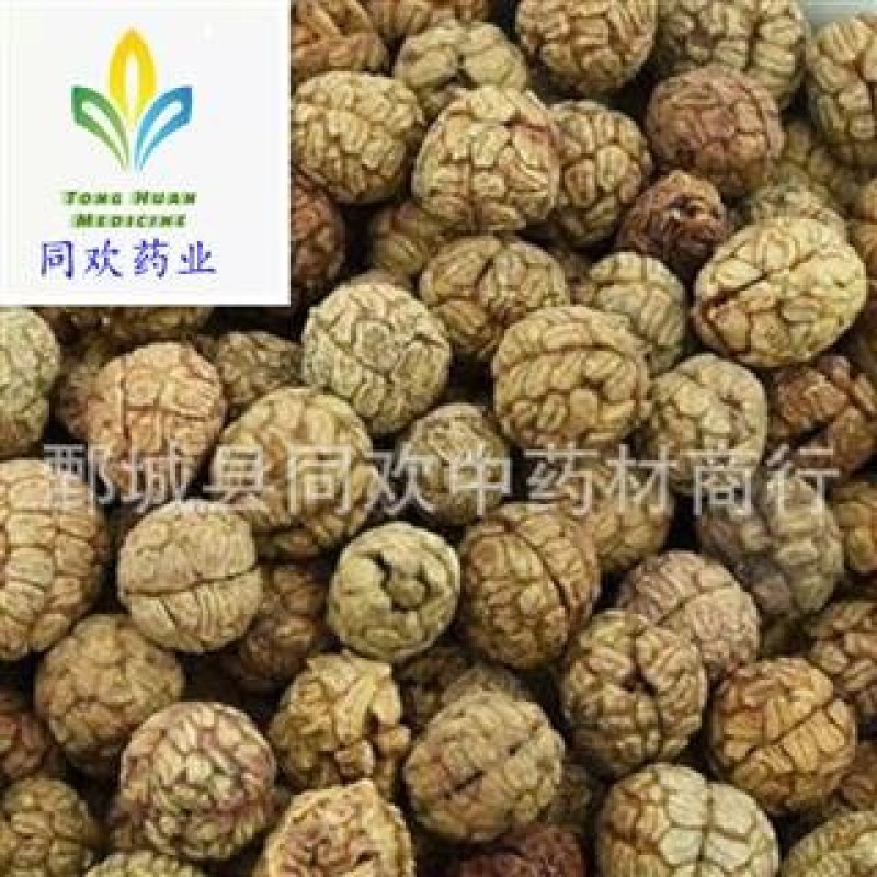 【云南草豆蔻】@【同欢药材】中药材批发供应规格齐全