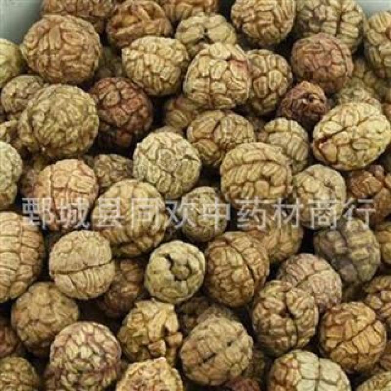 【云南草豆蔻】@【同欢药材】中药材批发供应规格齐全