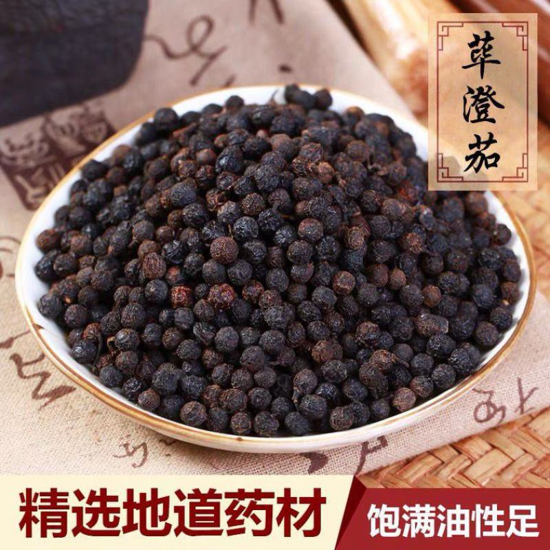 筚澄茄荜澄茄澄茄毗陵茄子毕澄茄山苍子山