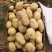 优质土豆大量现货，4两起步，出货量大皮毛干净