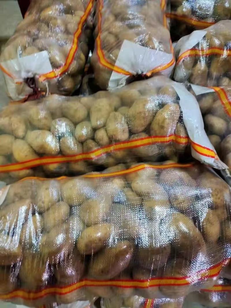 优质土豆大量现货，4两起步，出货量大皮毛干净