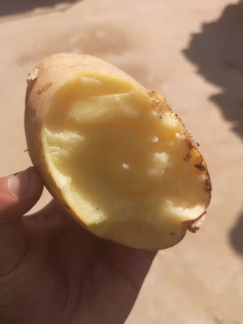 优质土豆大量现货，4两起步，出货量大皮毛干净