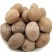 【选货肉豆蔻】@【同欢药材】中药材批发供应规格齐全