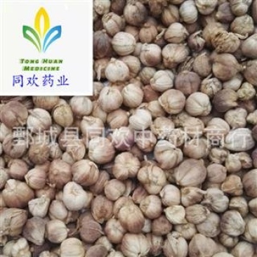 【白豆蔻好统货】@【同欢药材】中药材批发供应