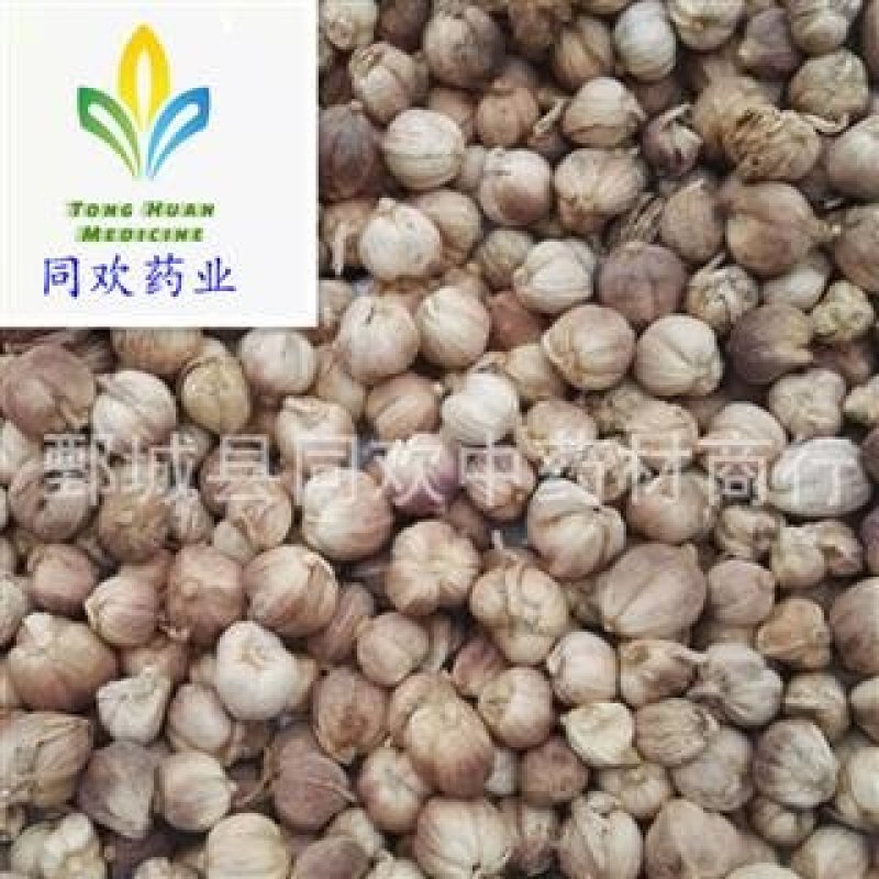 【白豆蔻好统货】@【同欢药材】中药材批发供应