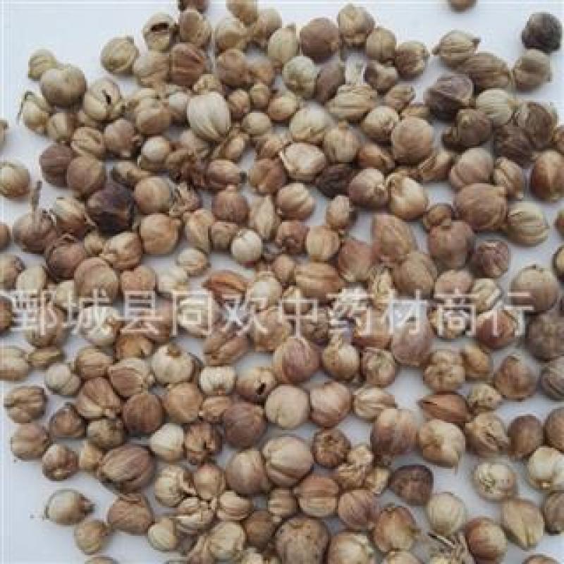 【白豆蔻好统货】@【同欢药材】中药材批发供应