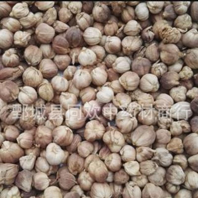 【白豆蔻好统货】@【同欢药材】中药材批发供应