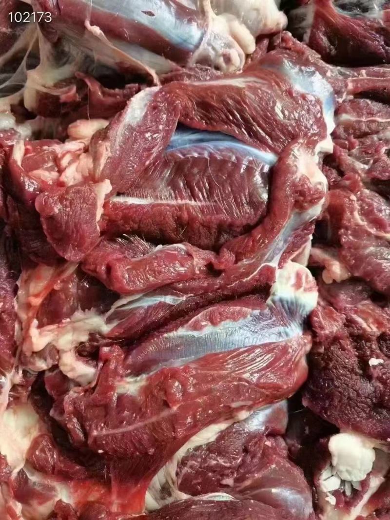 梅花鹿鲜鹿肉活鹿现杀温性低脂，吉林双阳鹿场量大从优！