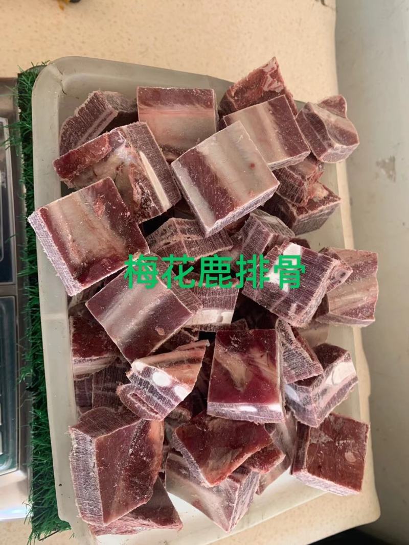 梅花鹿鲜鹿肉活鹿现杀温性低脂，吉林双阳鹿场量大从优！