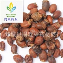 【荔枝核】@【同欢药材】中药材批发供应规格齐全