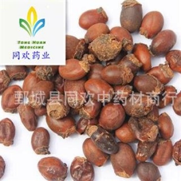 【荔枝核】@【同欢药材】中药材批发供应规格齐全