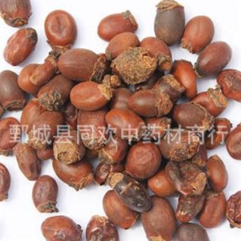 【荔枝核】@【同欢药材】中药材批发供应规格齐全