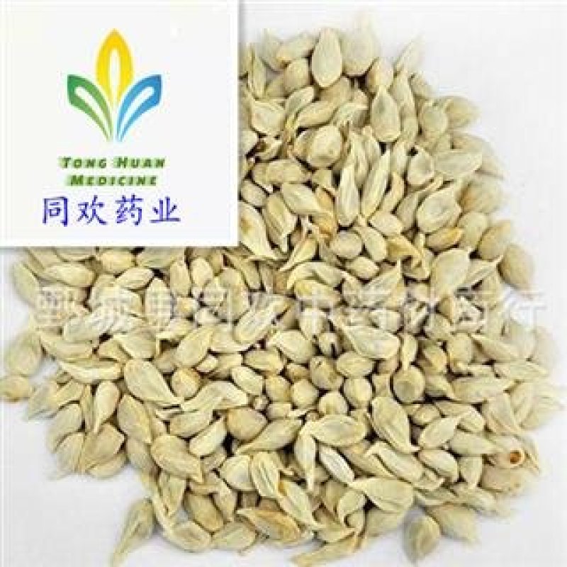 【橘核】@【同欢药材】中药材批发供应规格齐全