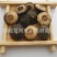 【江西鹅眼枳实】@【同欢药材】中药材批发供应规格齐全