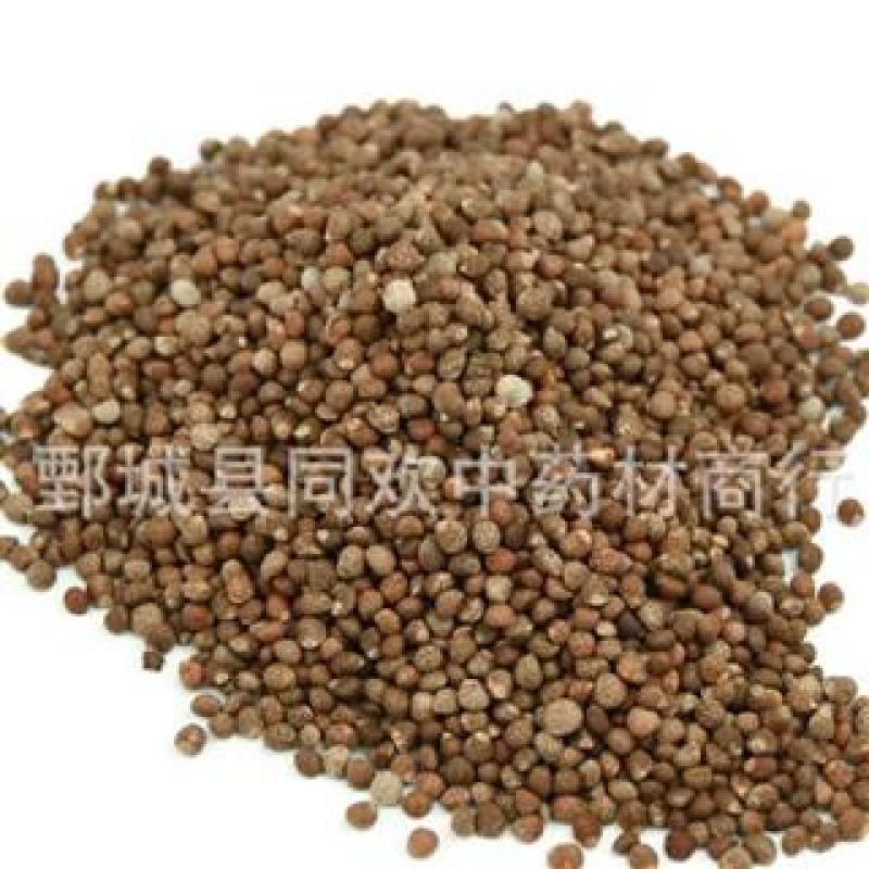 【紫苏子】@【同欢药材】中药材批发供应规格齐全