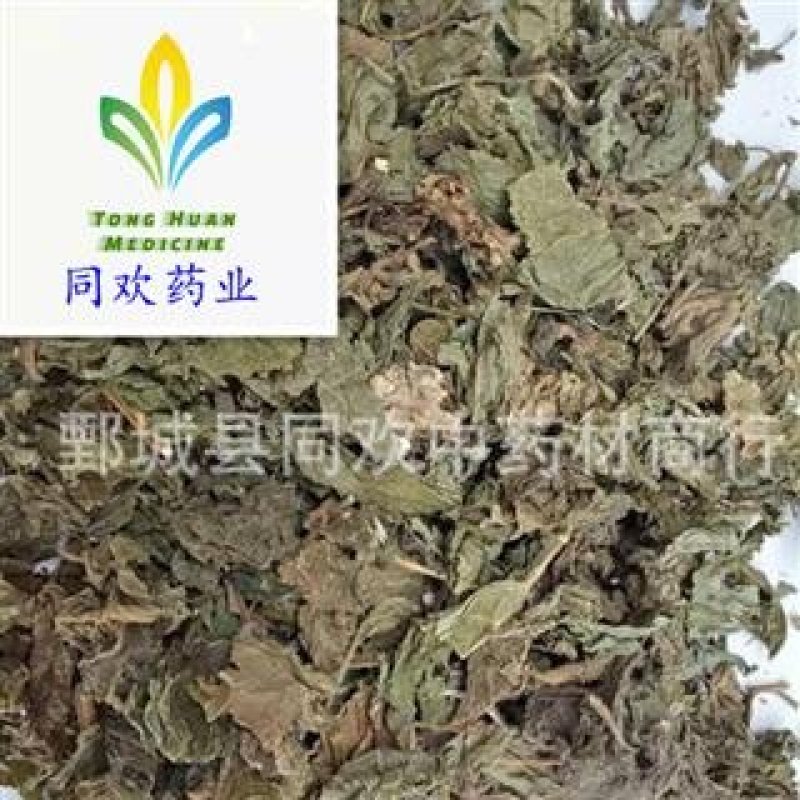 【紫苏叶】@【同欢药材】中药材批发供应规格齐全量大从优