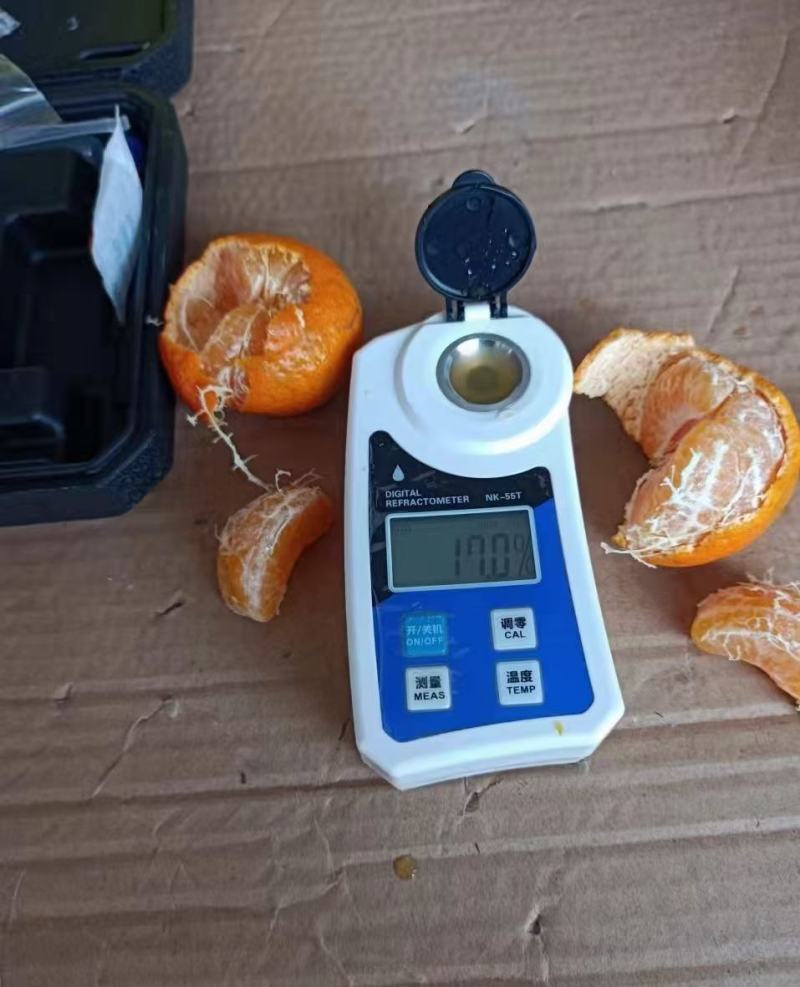 热销推荐精品砂糖橘口感超甜，皮薄汁多入口无渣，全国发货