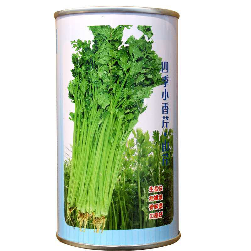 香芹种子芹菜种子蔬菜基地专用品种10-80克