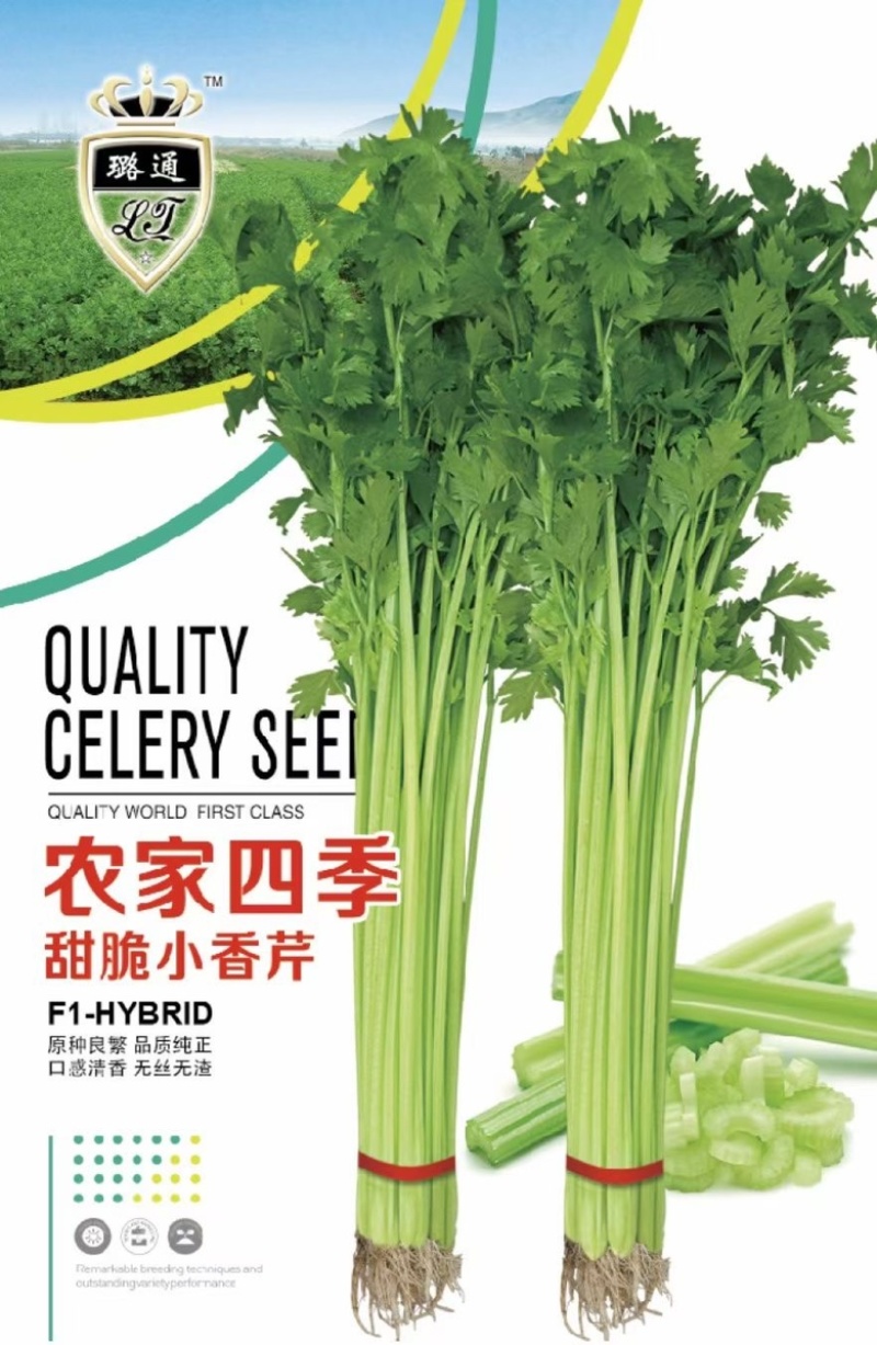 香芹种子芹菜种子蔬菜基地专用品种10-80克