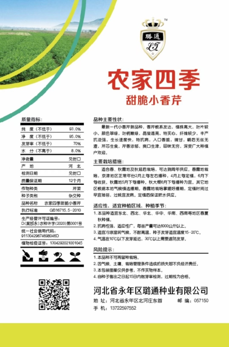香芹种子芹菜种子蔬菜基地专用品种10-80克