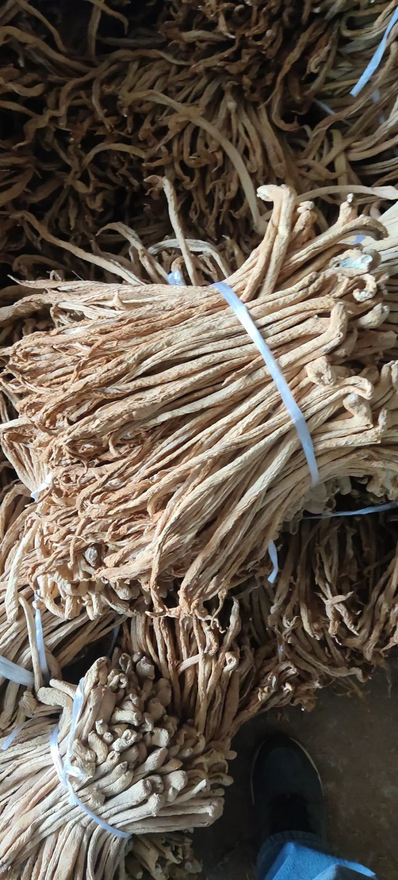 辽宁绥中县大根条大量有货长度好干度好条质好想要的联系