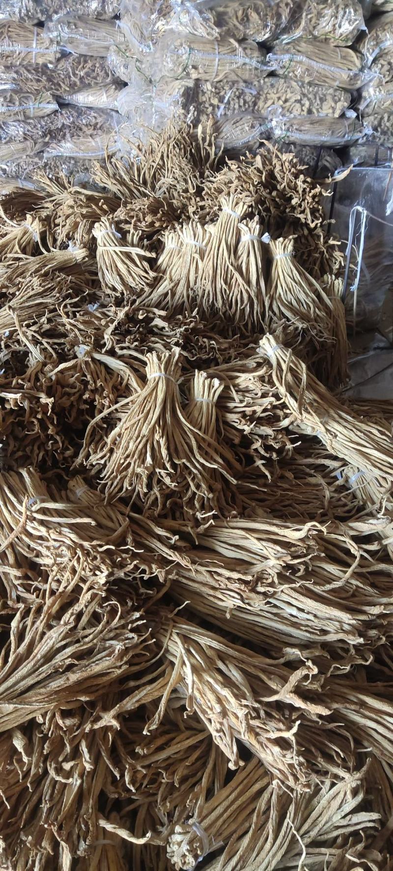 辽宁绥中县大根条大量有货长度好干度好条质好想要的联系