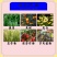 28-芸苔素内脂调节作物生长缓解药害保花保果增产增收