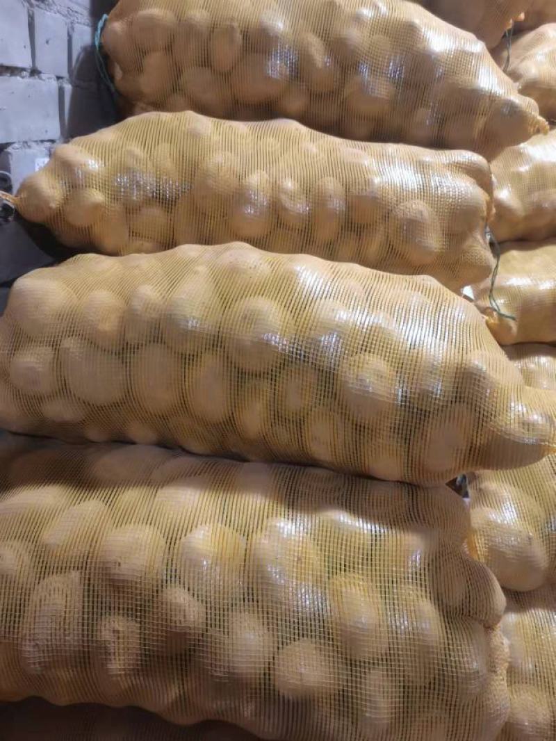 定西洋芋沙面糯土豆鲜货直发产地现挖现发量大从优电联