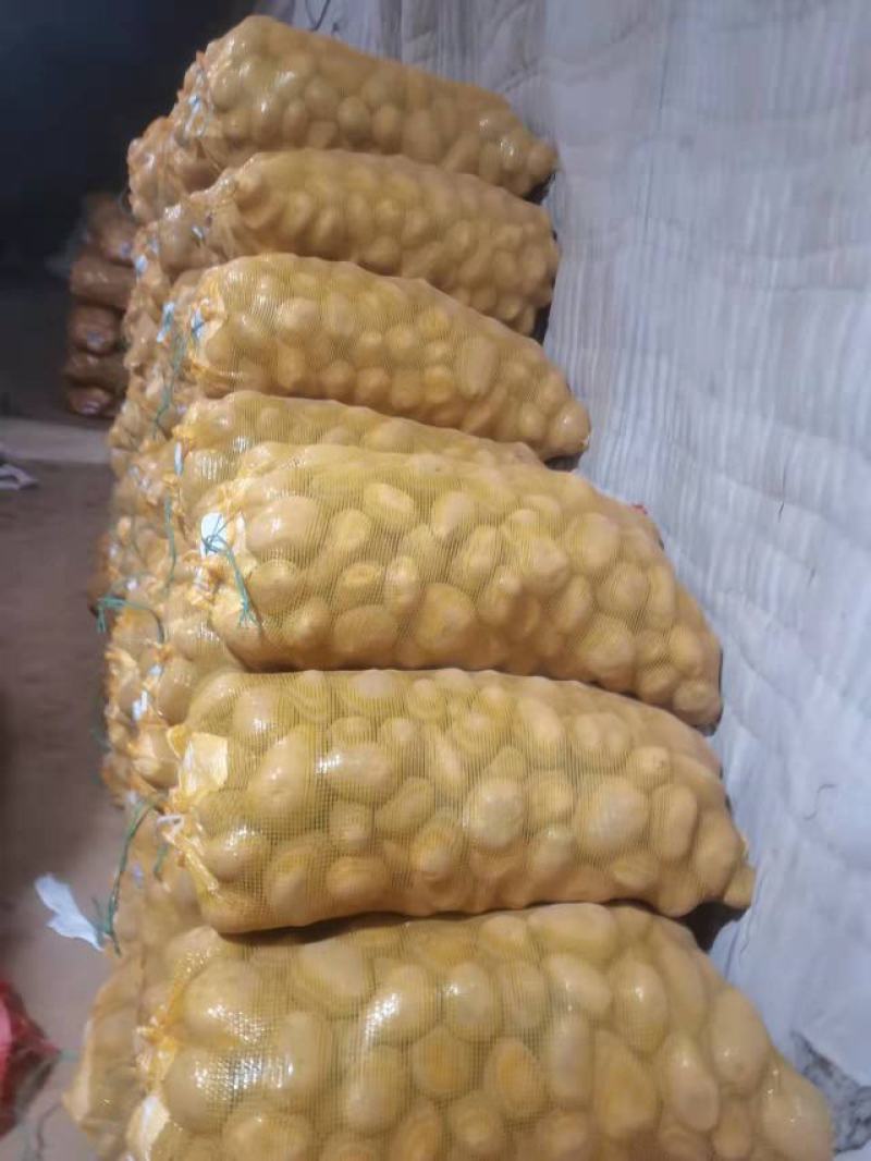 定西洋芋沙面糯土豆鲜货直发产地现挖现发量大从优电联