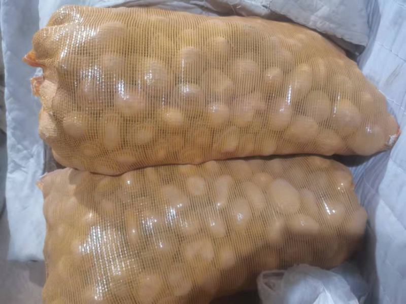 定西洋芋沙面糯土豆鲜货直发产地现挖现发量大从优电联