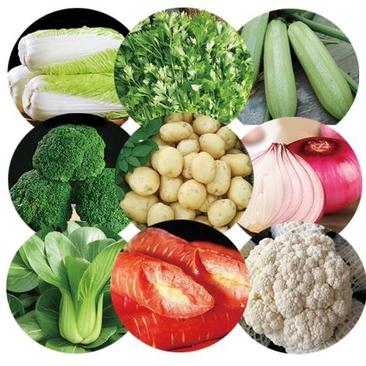 蔬菜组合随意组合10种15斤75元西安可以正常发货