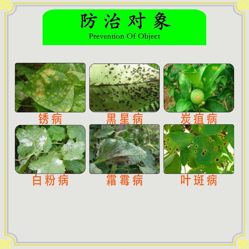 百农思达10%苯醚甲环唑炭疽病白粉病锈病黑星病叶斑病