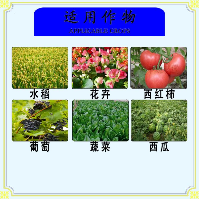 百农思达10%苯醚甲环唑炭疽病白粉病锈病黑星病叶斑病