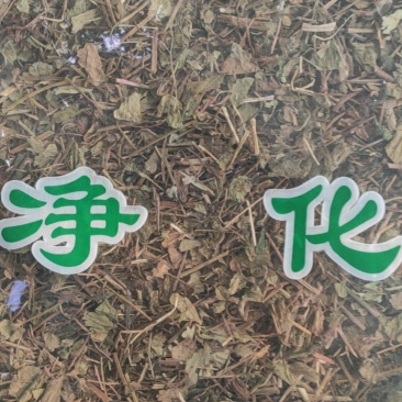 蛇莓干货量大从优干货无杂质欢迎选购！