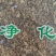 蛇莓干货量大从优干货无杂质欢迎选购！