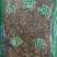 蛇莓干货量大从优干货无杂质欢迎选购！