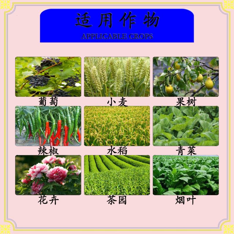30%苯甲丙环唑炭疽病锈病黑星病纹枯病叶斑病白粉病