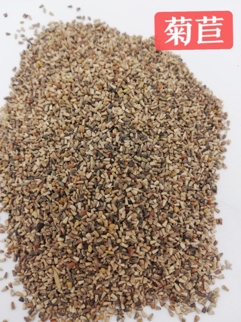 大叶将军菊苣牧草种子鸡鸭鹅猪牛羊四季牧草产量高