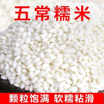 【精品】五常2023粘糯米，圆粒粘米，货量充足，量大从优