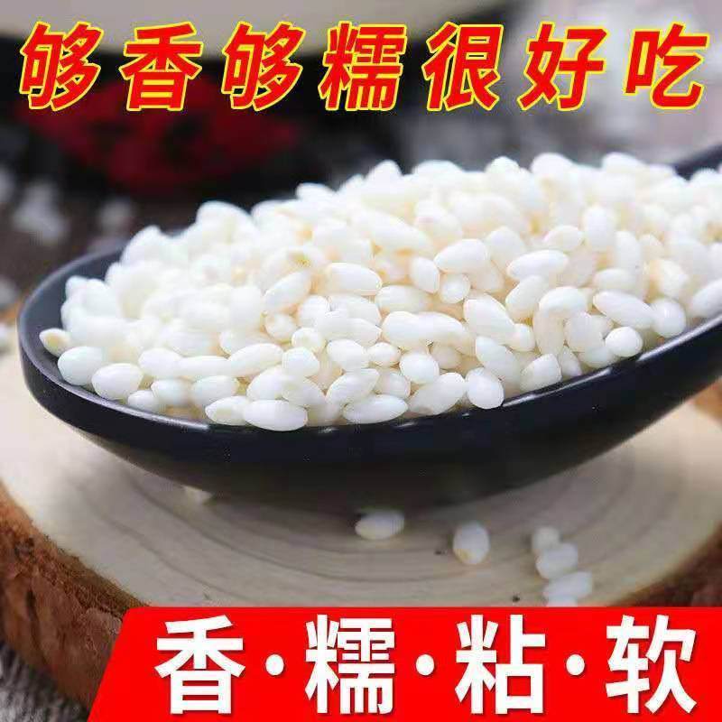【精品】五常2023粘糯米，圆粒粘米，货量充足，量大从优