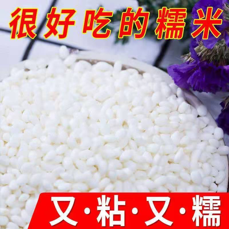 【精品】五常2023粘糯米，圆粒粘米，货量充足，量大从优