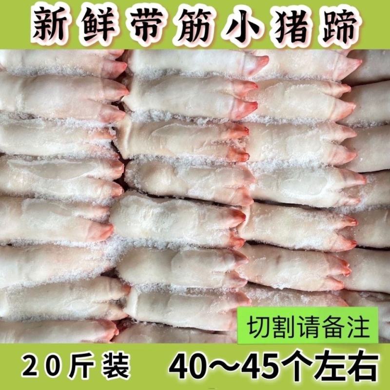 冷冻猪蹄带筋猪蹄猪手带筋猪脚带筋家庭饭店卤菜20斤4